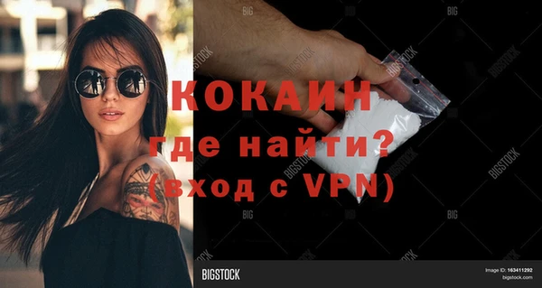 молекула духа Бородино