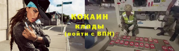 молекула духа Бородино