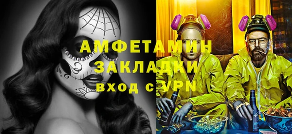молекула духа Бородино
