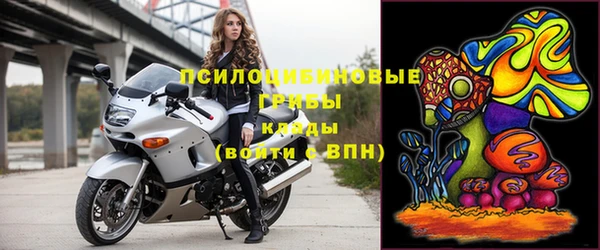 молекула духа Бородино