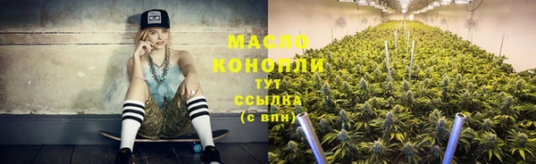 молекула духа Бородино