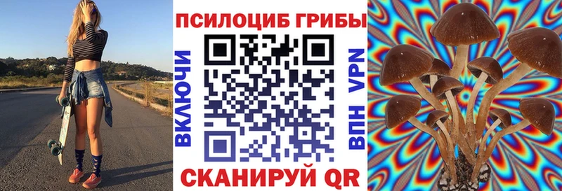 ОМГ ОМГ ССЫЛКА Майкоп Псилоцибиновые грибы Cubensis